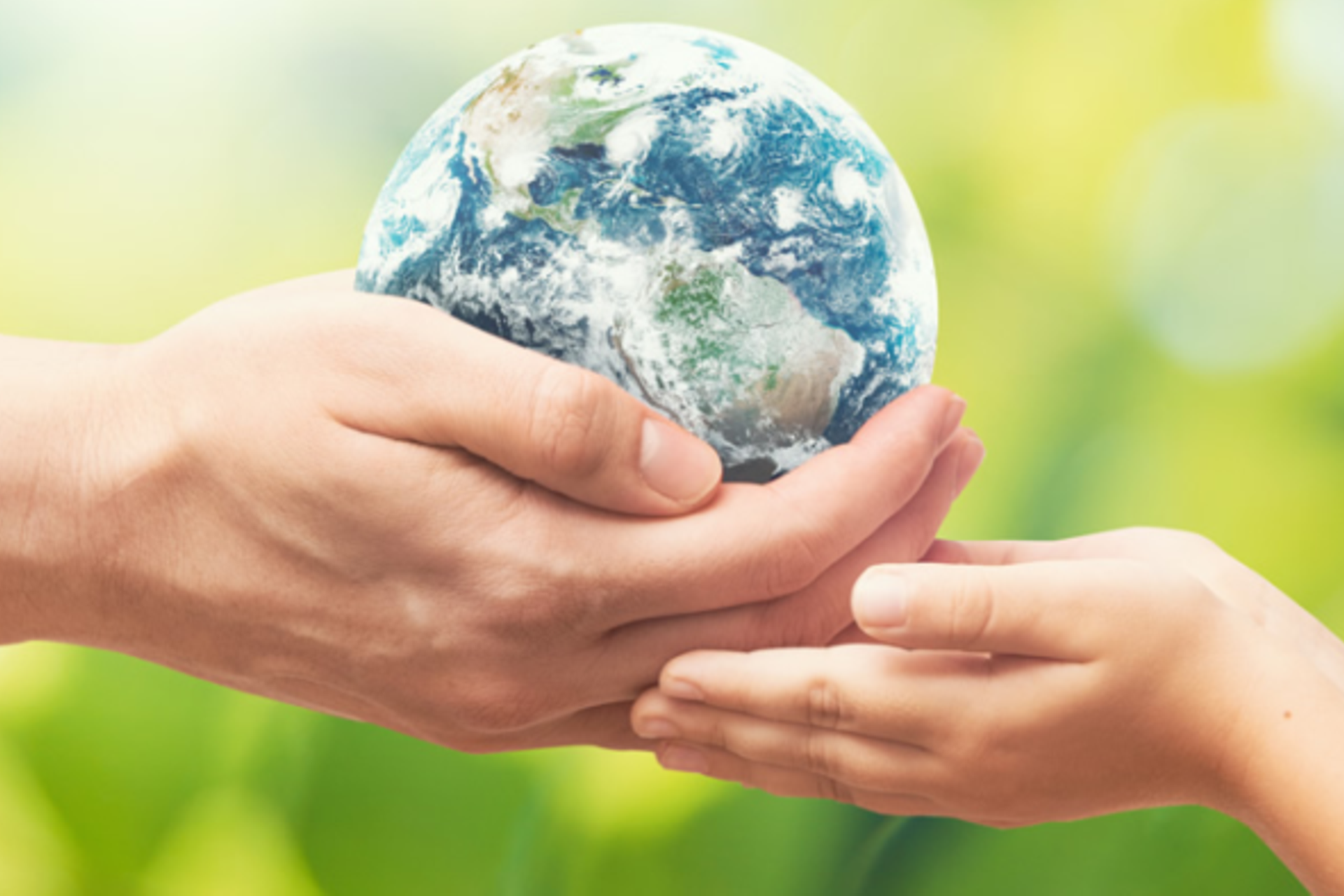 Laudato Si' Week