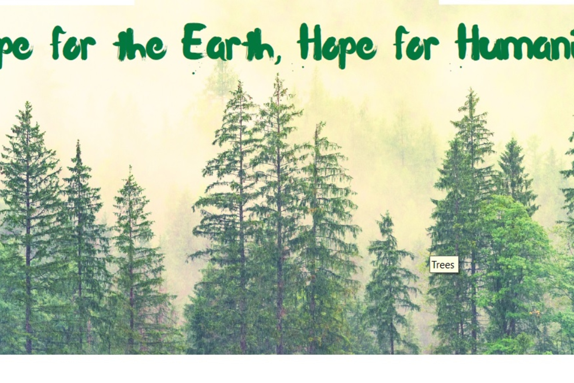 Diocese of Limerick - Programme for Laudato Si' Week 2023 Diocese of Limerick - Programme for Laudato Si' Week 2023