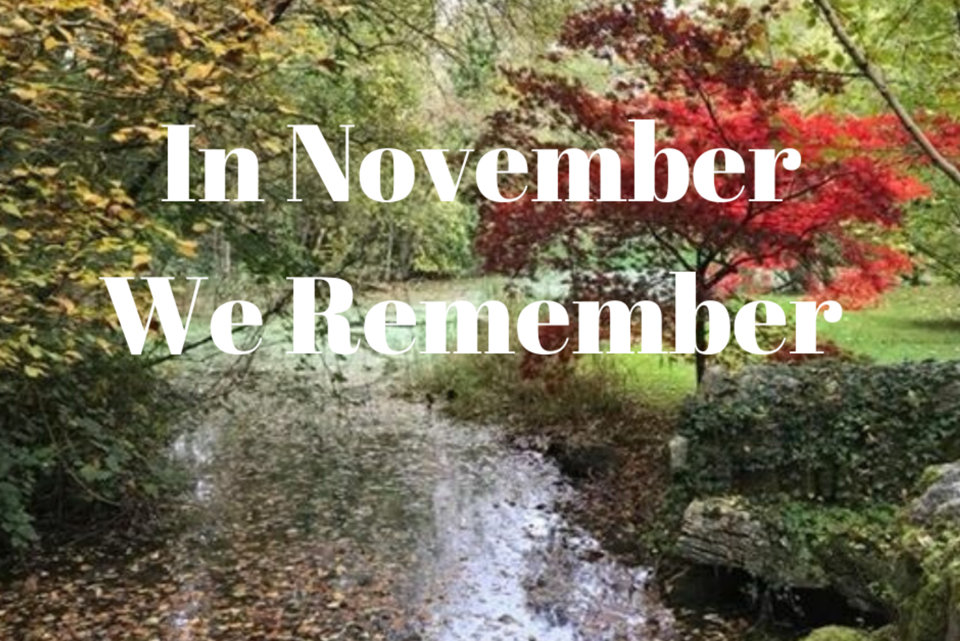 In November We Remember