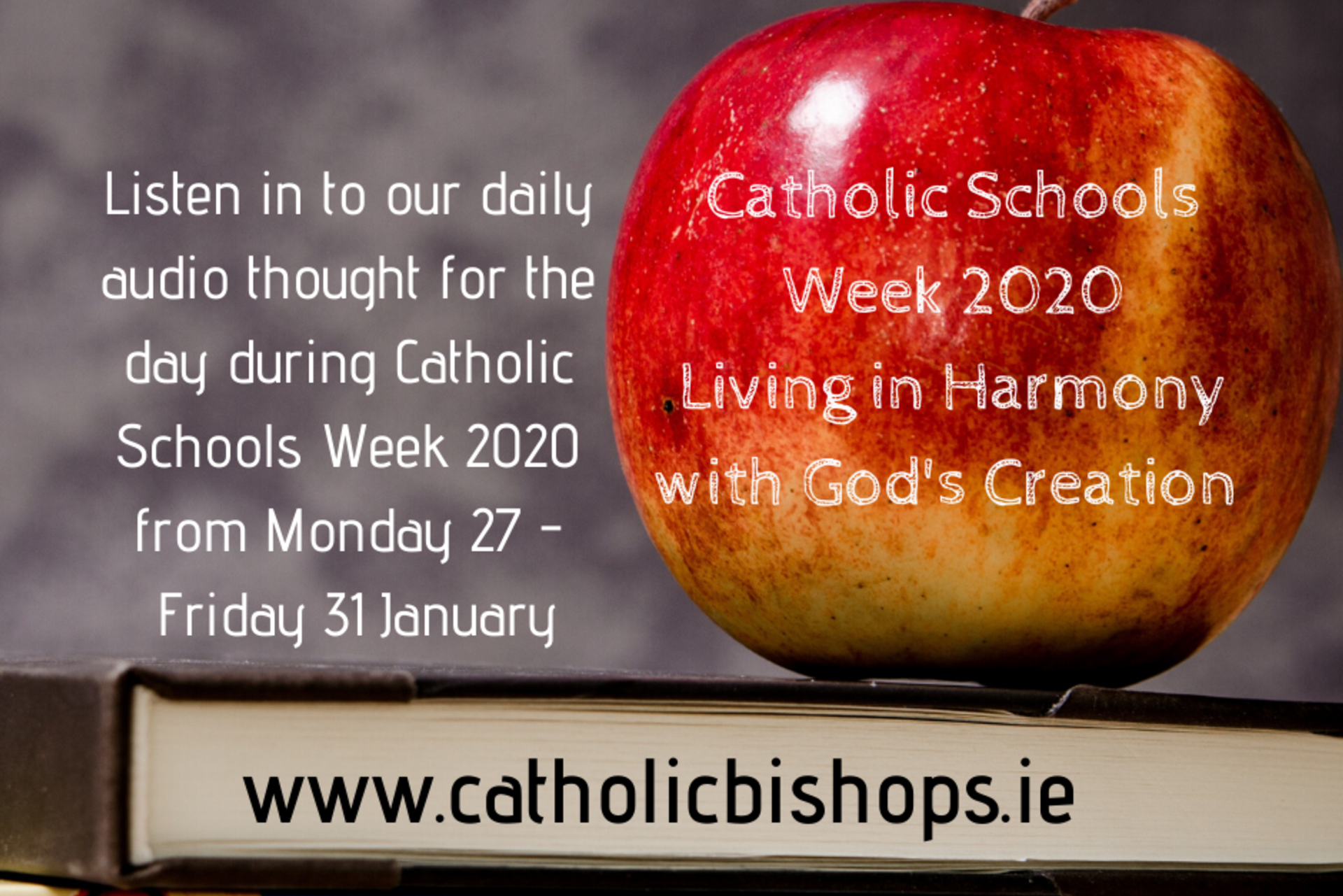 New audio and Resources for Wednesday of Catholic Schools Week 2020